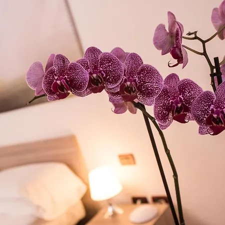 Ristorante Ala D'oro 酒店 4*