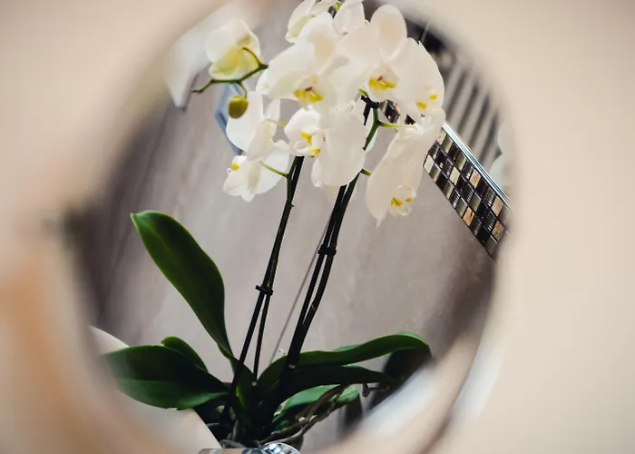 Hotell Ristorante Ala D'oro