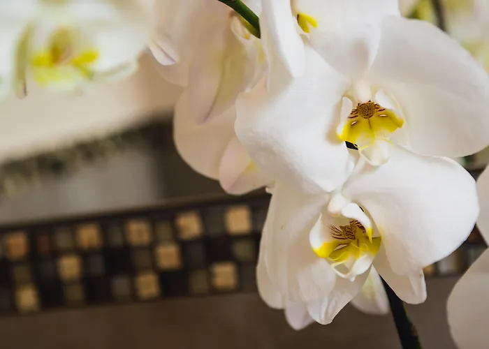 Hotell Ristorante Ala D'oro 4*